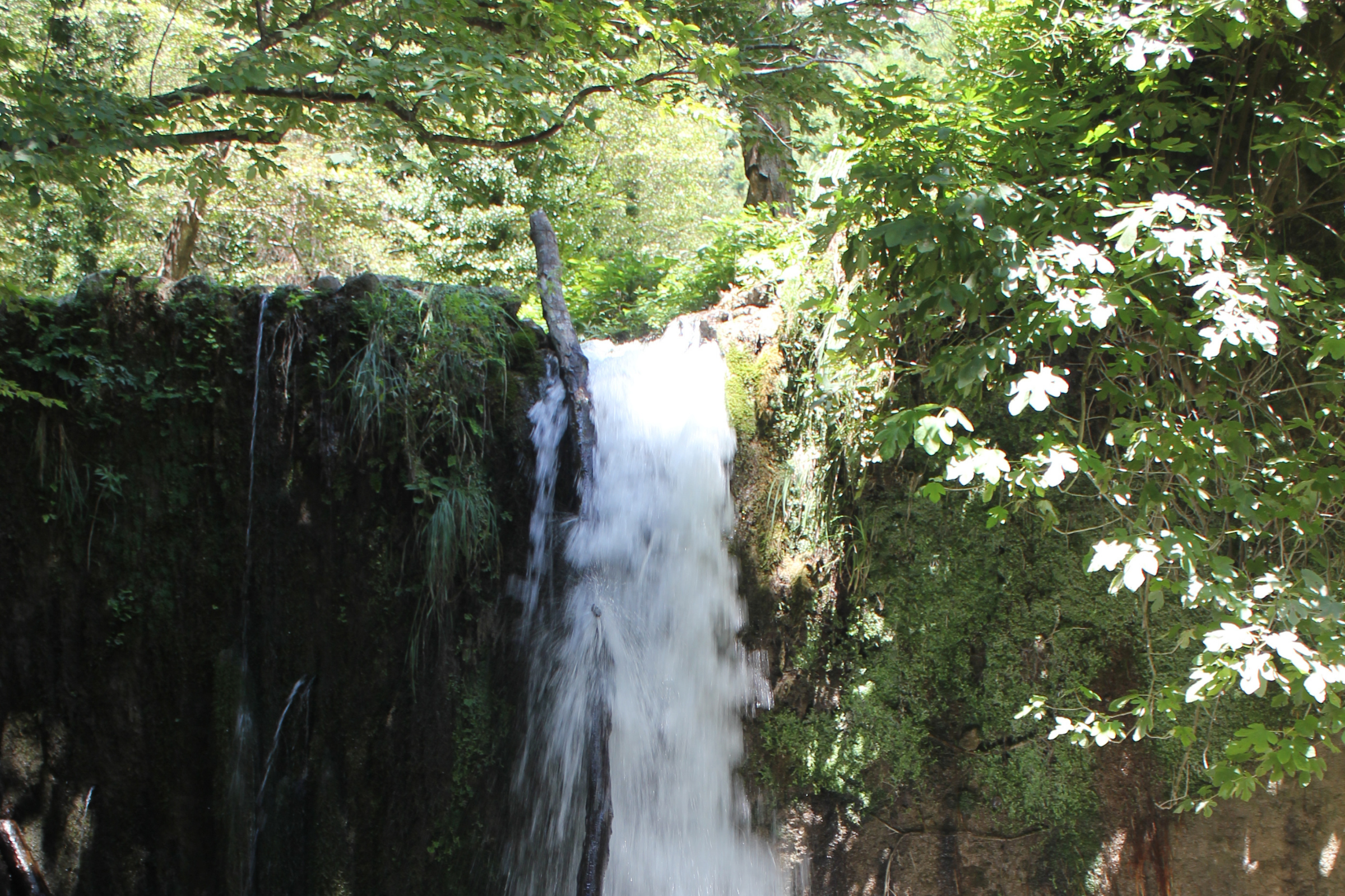 Valle_Delle_Ferriere_National_Park[1].webp